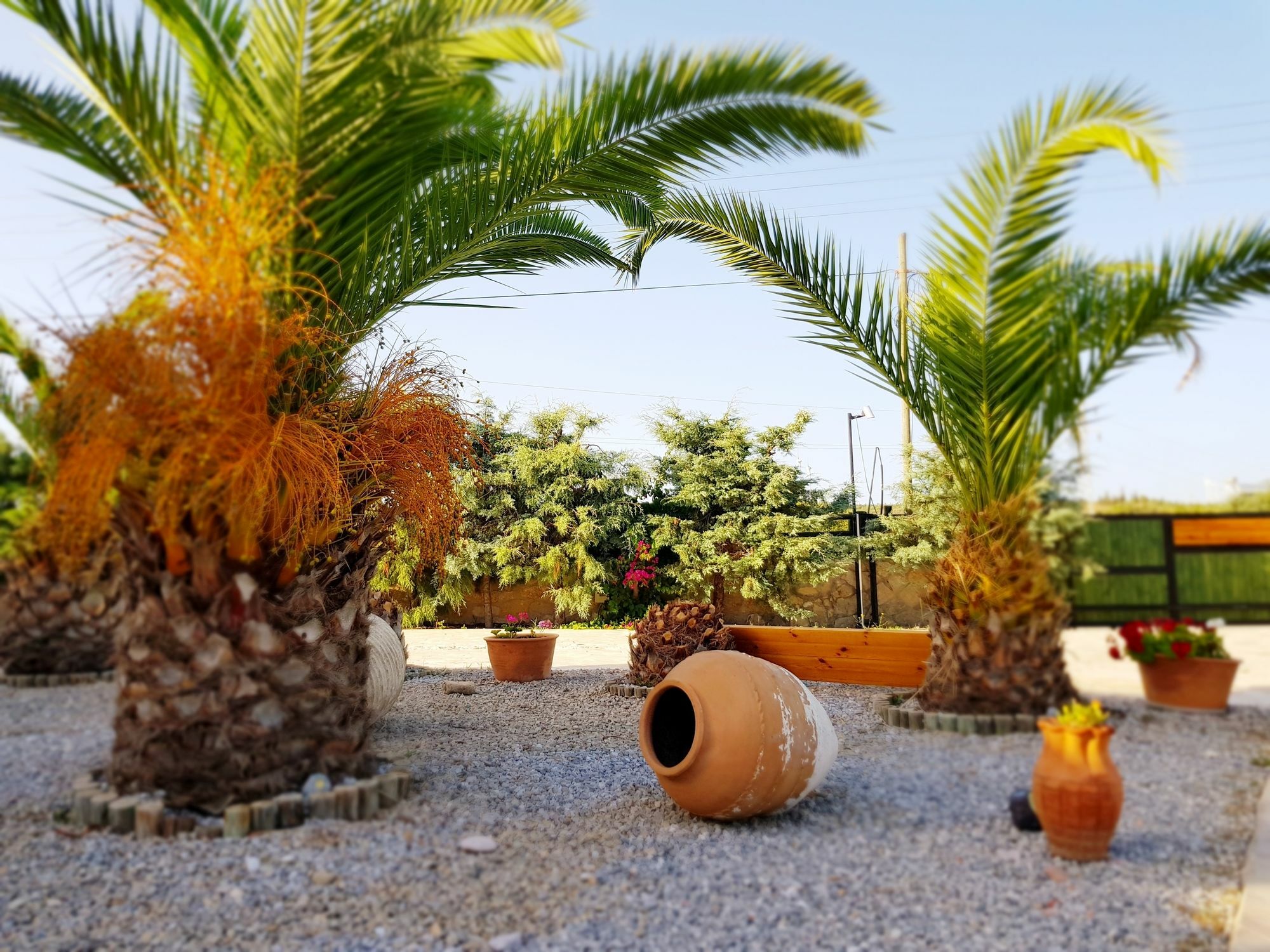 Villa Kizlan Ova Datça Exteriör bild